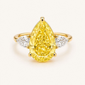 The Golden Elan Ring in Yellow Gold